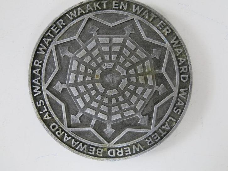 MAS -medaillon Tom Lanoye – Tom Hautekiet origineel, Antiek en Kunst, Kunst | Designobjecten, Ophalen of Verzenden