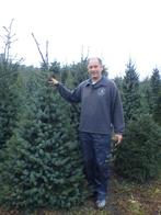 Kerstbomen en groenblijvende hagen, Tuin en Terras, Planten | Bomen, Ophalen, In pot, Overige soorten, 100 tot 250 cm