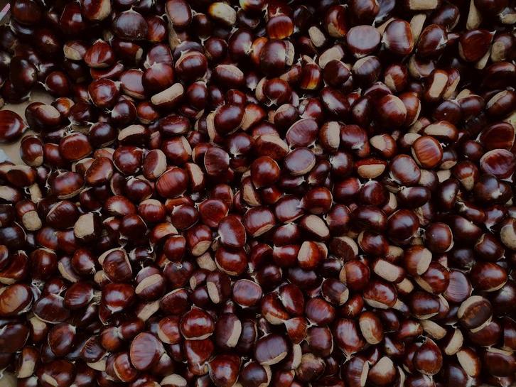 Verse biologische tamme kastanjes, Diversen, Levensmiddelen, Ophalen