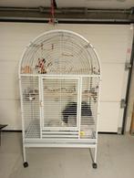 Grand cage perroquet ou autre oiseau, Ophalen, Zo goed als nieuw, Vogelkooi