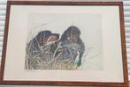 gravure chien de chasse signe Léon danchin, Antiek en Kunst, Ophalen of Verzenden