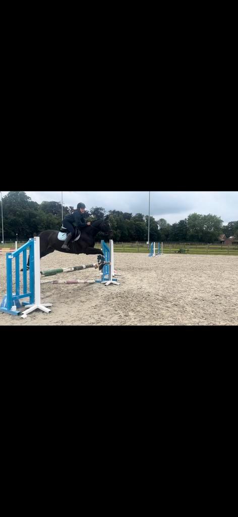 Bijrijden / verzorgen, Dieren en Toebehoren, Stalling en Weidegang