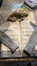 tommy hilfiger jas, Kleding | Dames, Jassen | Zomer, Ophalen, Maat 36 (S)