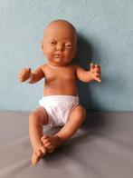 Levensechte / etalagepop, Enlèvement ou Envoi