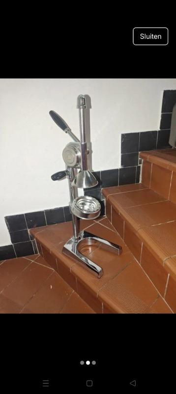 Citrusperser  beschikbaar voor biedingen