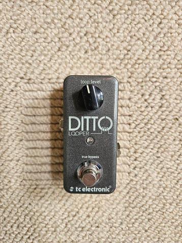 TC electronics Ditto looper