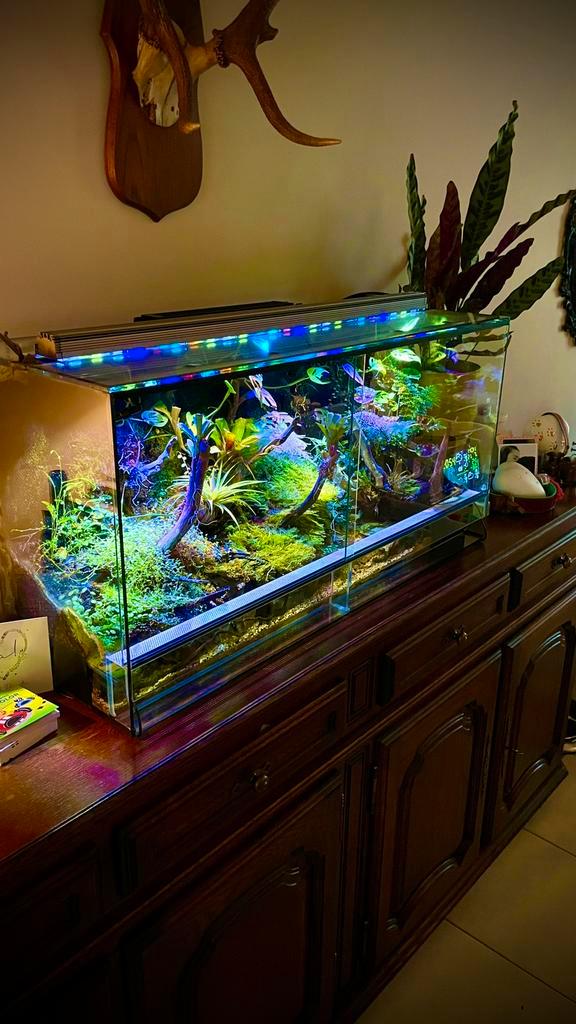 Paludarium, Dieren en Toebehoren, Reptielen en Amfibieën | Toebehoren, Verlichting, Ophalen