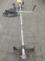 Bosmaaier te koop, Ophalen of Verzenden