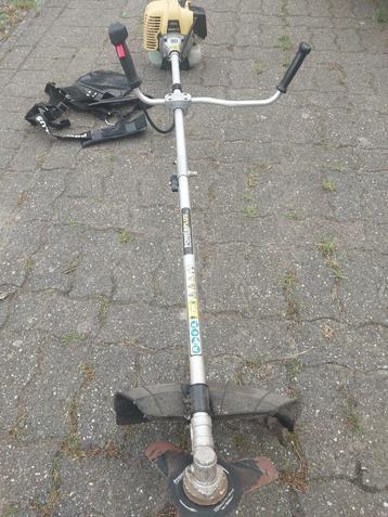 Bosmaaier te koop  beschikbaar voor biedingen
