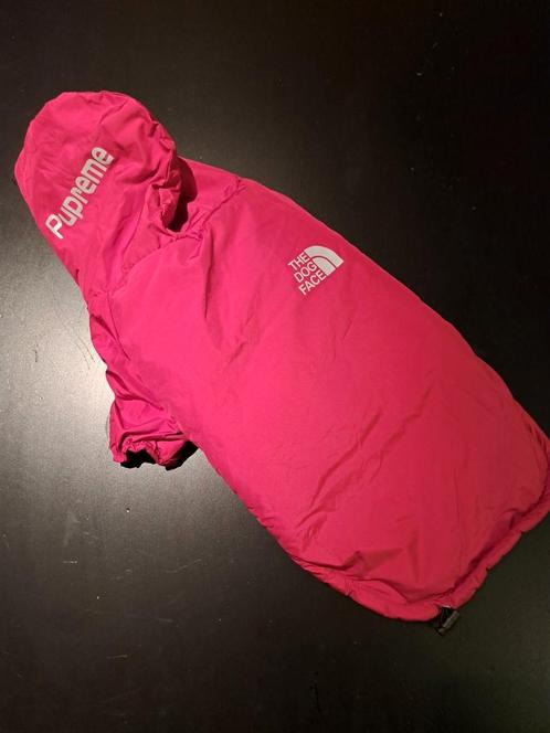 Winterjas/regenjas kleine hond, Dieren en Toebehoren, Hondenkleding, Zo goed als nieuw, Ophalen