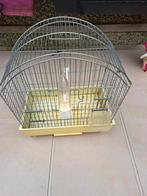 Cage oiseaux bonne état 20€, Animaux & Accessoires, Oiseaux | Canaris