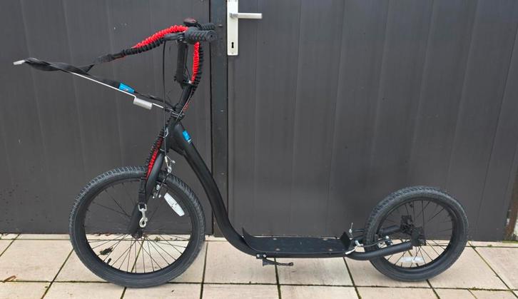 Dog step met toebehoren in perfecte staat te koop., Fietsen en Brommers, Steps, Ophalen