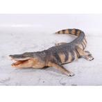 American Alligator – Krokodil beeld Lengte 241 cm, Verzamelen, Dierenverzamelingen, Ophalen, Nieuw