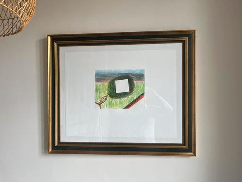 ROGER RAVEEL Een drang naar volmaaktheid, Antiek en Kunst, Kunst | Litho's en Zeefdrukken, Ophalen of Verzenden