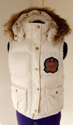 Gilet tendance signé Ralph Lauren : Nouveau, Vêtements | Femmes, Blousons sans Manches, Neuf, Taille 38/40 (M), Enlèvement ou Envoi