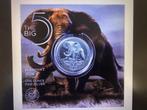 2024 South Africa - Big five elephant - 1 oz silver in blist, Ophalen of Verzenden, Zilver