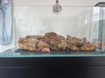 55KG dragonstone, Dieren en Toebehoren, Ophalen of Verzenden