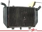 RADIATEUR TL 1000 R 1998-2003 (TL1000R) (422131-8370), Motoren, Gebruikt