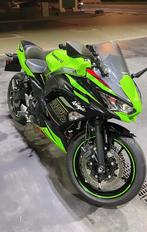 Kawasaki Ninja 650 Racing Team, Motoren, 4 cilinders, 649 cc, Meer dan 35 kW, Sport
