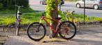 Mountainbike [Specialized], Fietsen en Brommers, Overige merken, Zo goed als nieuw, Hardtail, 53 tot 57 cm