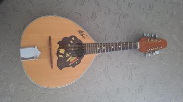 Mooie mandoline met koffer beschikbaar voor biedingen