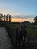 Weide te huur, Dieren en Toebehoren, Stalling en Weidegang, Weidegang, 1 paard of pony
