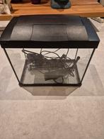 Aquarium 16L, Dieren en Toebehoren, Ophalen