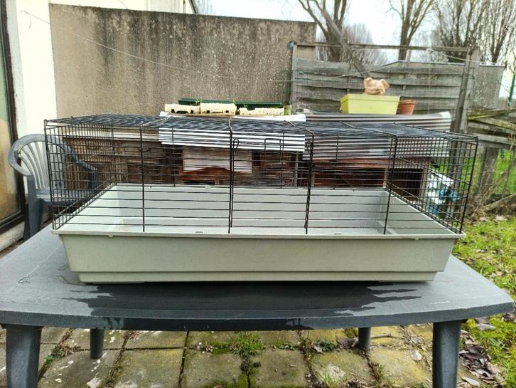 Konijnenkooi / knaagdieren, Dieren en Toebehoren, Knaagdieren en Konijnen | Hokken en Kooien, Gebruikt, Kooi, Minder dan 60 cm