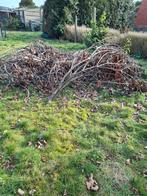 Snoeihout gratis, Ophalen