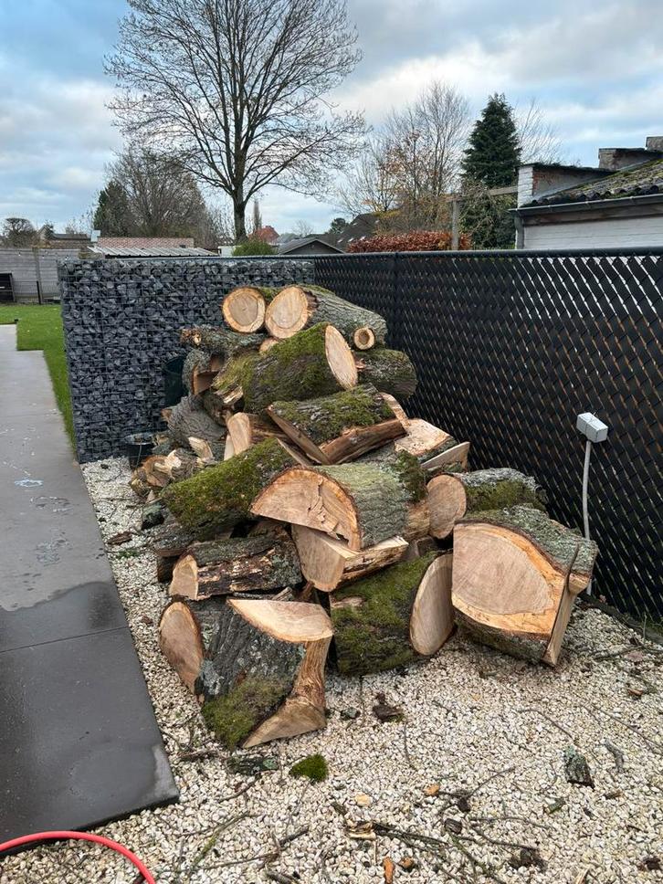 Eiken brandhout –  3.5 m³ zuivere eik, Tuin en Terras, Brandhout, Blokken, Eikenhout, Ophalen