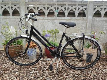 Norta Sport maat 53 beschikbaar voor biedingen