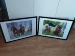 wisselkader 2 stuks : paarden, Ophalen, Nieuw