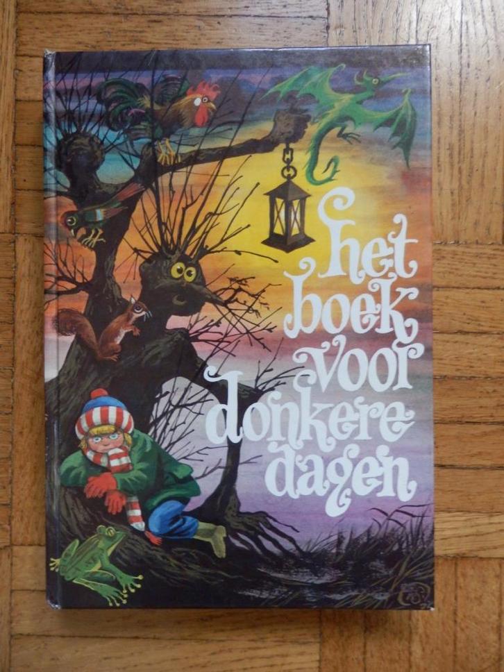 Het boek voor donkere dagen, Boeken, Kinderboeken | Jeugd | 13 jaar en ouder, Gelezen, Fictie, Ophalen of Verzenden