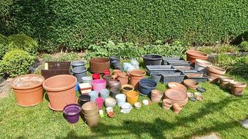 Pots de fleur et divers beschikbaar voor biedingen