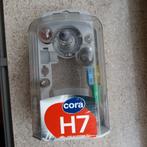 Kit d'ampoules et fusibles, avec feu H7, Autos : Pièces & Accessoires, Enlèvement ou Envoi, Pièces universelles, Neuf