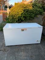 LIEBHERR 550 liter grote diepvrieskist, Elektronische apparatuur, Vriezers en Diepvrieskisten, Gebruikt, Ophalen, Vrieskast, 85 tot 120 cm