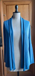 Blauwe gilet / trui - maat M, Ophalen of Verzenden, Zo goed als nieuw, Maat 38/40 (M)