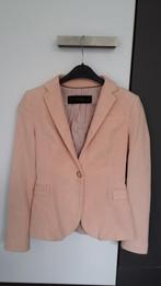 Roze fluwelen blazer maat XS van ZARA, in perfecte staat!, Kleding | Dames, Jasjes, Kostuums en Pakken, Zara, Ophalen of Verzenden
