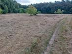 Weiland te koop in Tessenderlo-Ham, Immo