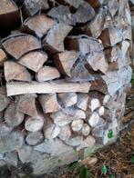 brandhout, Tuin en Terras, 3 tot 6 m³, Ophalen of Verzenden, Elzenhout, Blokken