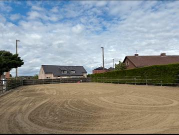 Stallen te huur in lovendegem! beschikbaar voor biedingen