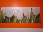 Cadre en verre tulipes, Maison & Meubles, Accessoires pour la Maison | Cadres, Enlèvement