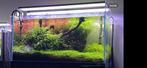 Twinstar 900E & 900S, Dieren en Toebehoren, Vissen | Aquaria en Toebehoren, Ophalen, Gebruikt, Verlichting of Verwarming