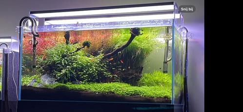 Twinstar 900E & 900S, Dieren en Toebehoren, Vissen | Aquaria en Toebehoren, Gebruikt, Verlichting of Verwarming, Ophalen