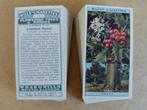 Flowering Trees & Shrubs complete set 50 chromos 1924 Wills, Verzamelen, Ophalen of Verzenden, Voor 1940, Natuur