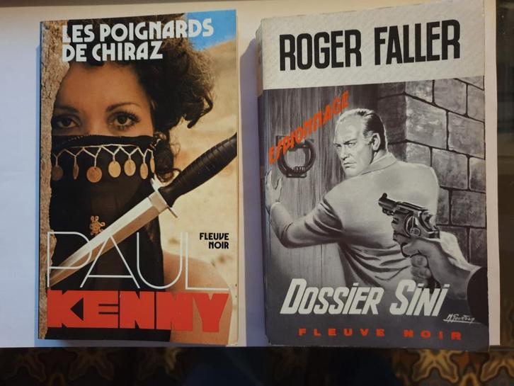 Collection FLEUVE NOIR, Boeken, Detectives, Zo goed als nieuw, Ophalen of Verzenden