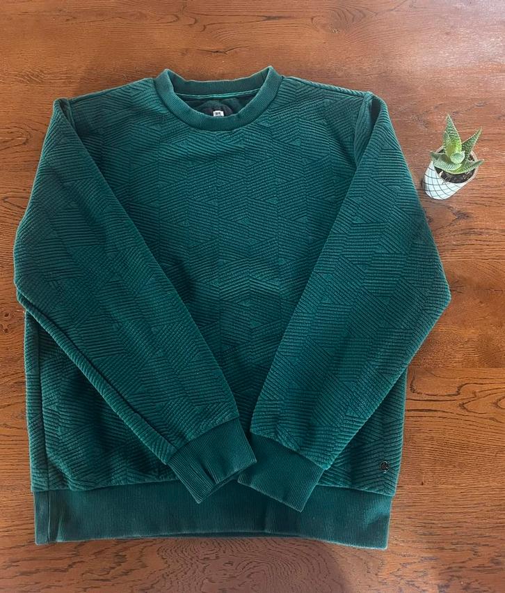 WE trui maat M, Kleding | Heren, Truien en Vesten, Zo goed als nieuw, Maat 48/50 (M), Groen, Ophalen of Verzenden