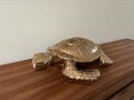 Exclusieve Gouden Schildpad te Koop, Antiek en Kunst, Kunst | Beelden en Houtsnijwerken, Ophalen