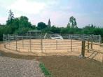 Longeercirkel, Texas Paneel, Panelen, Vangkooi, Box, Animaux & Accessoires, Pâturage, 4 chevaux ou poneys ou plus