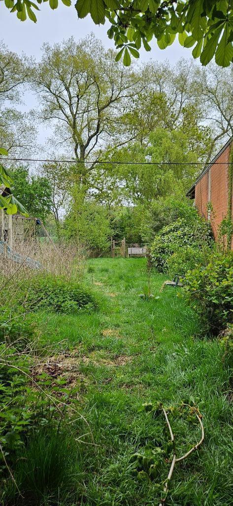 Grond te huur veldegem, Dieren en Toebehoren, Stalling en Weidegang